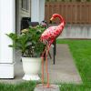 Bright Standing Flamingo Looking Back