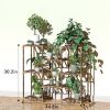 Plant Stand Indoor, Outdoor Wood Plant Stands for Multiple Plants, Plant Shelf Ladder Table Plant Pot Stand for Living Room, Patio, Balcony, Plant Gar